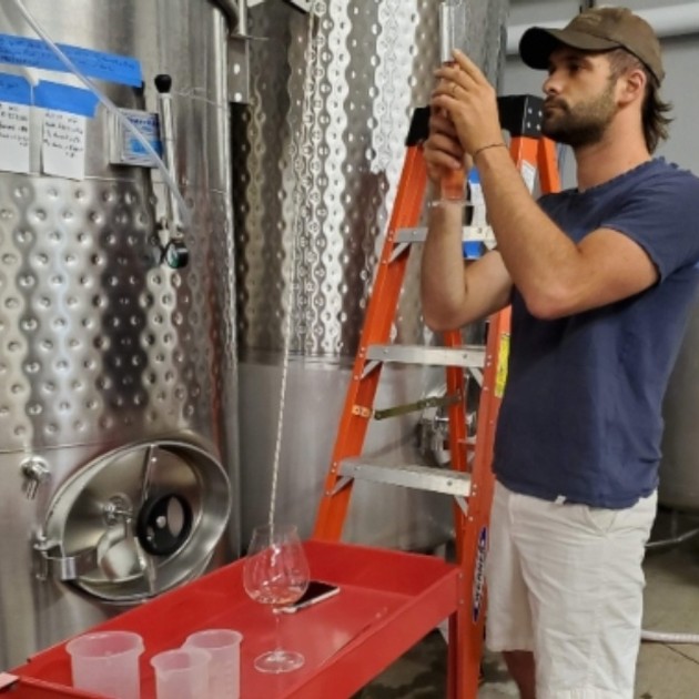 Rosè in the making