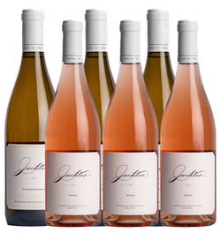 2025 Thanksgiving Cornucopia 6pk